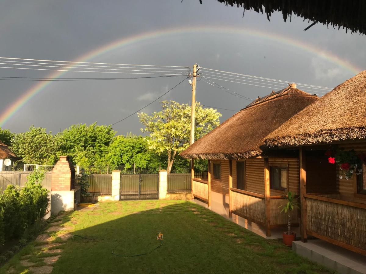 Casa Arina Visina